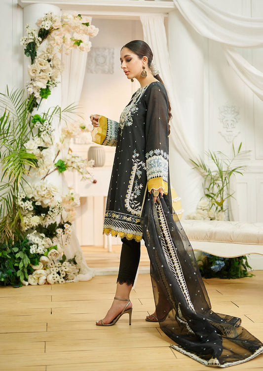 Black : Women's Dress