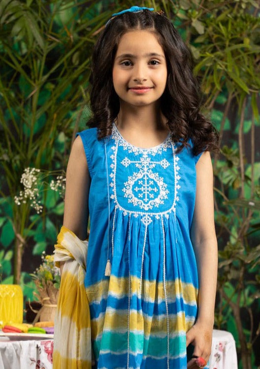Blue - Girls Embroidered Dress