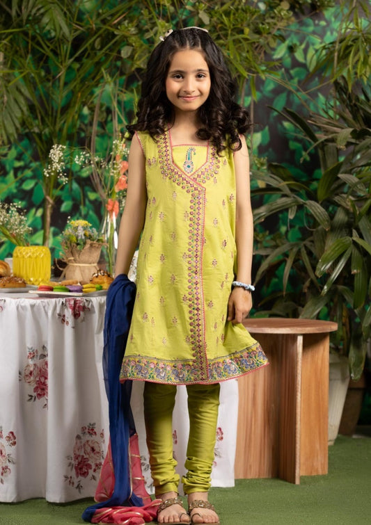 Green -  Girls Embroidered Dress