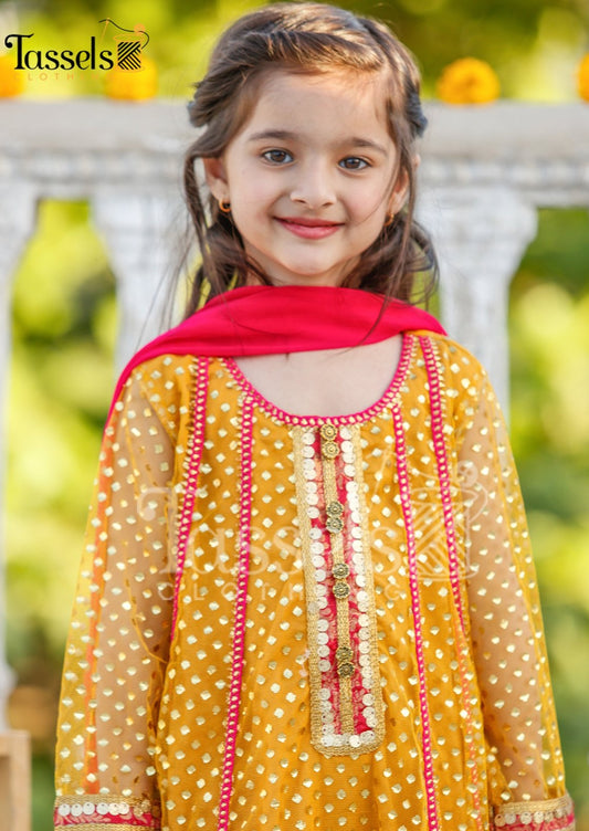 Chiragh - 3 Piece Embroidered Suit (5-12 Years)