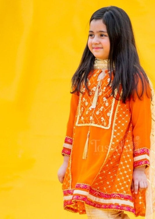 Chamak - 3 Piece Embroidered Suit (0-4 Years)