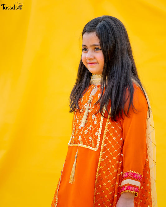 Chamak - 3 Piece Embroidered Suit (0-4 Years)