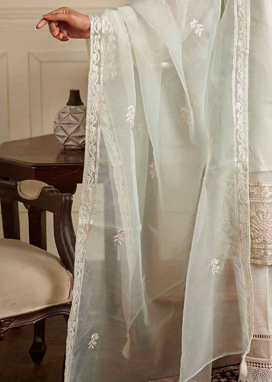 Sky Blue Embroidered Organza Dupatta